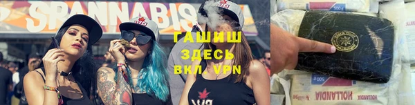сатива Белокуриха