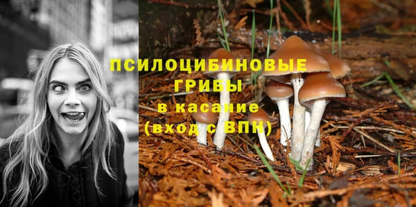 амф Беломорск
