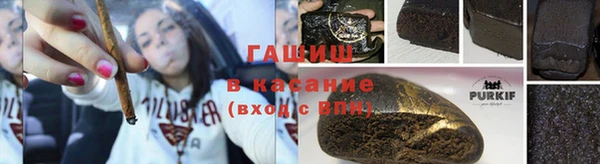 сатива Белокуриха