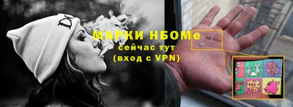 сатива Белокуриха