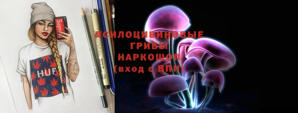 индика Белоозёрский