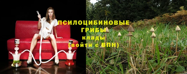 сатива Белокуриха