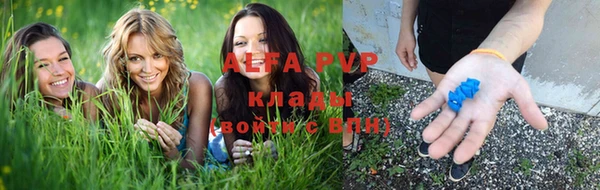 метадон Богданович