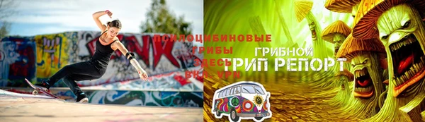 амф Беломорск