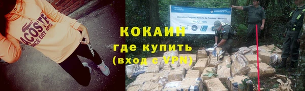 сатива Белокуриха