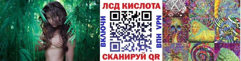 наркотики Очёр hydra рабочий сайт Марки N-bome 1,8мг